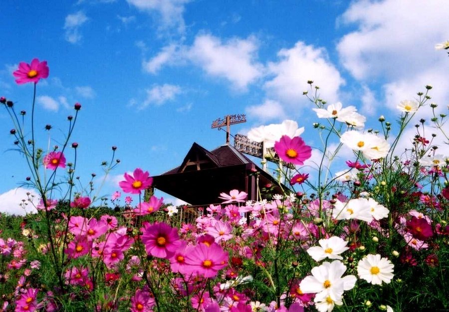 🏞️ 고베 종합운동공원 이미지 4